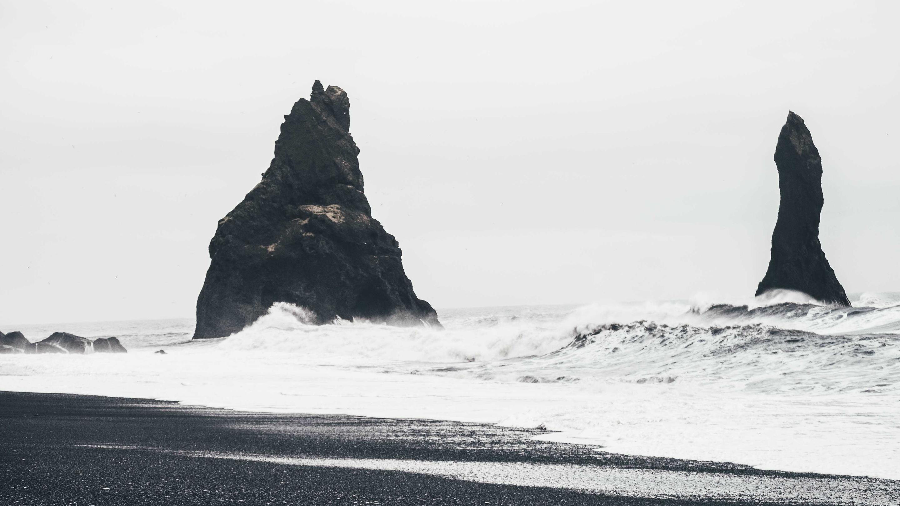 The black shore